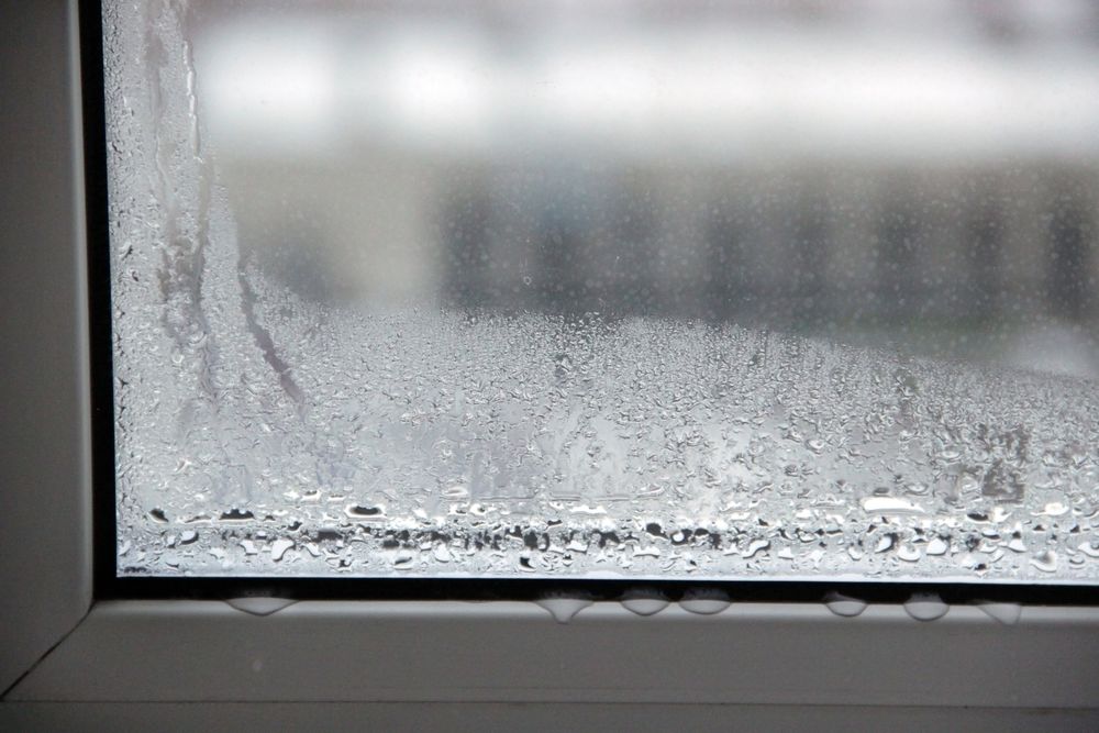 Window Condensation - Tips and Solutions - Repairs or replacements